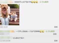 养猫又养狗是一种什么样的体验？评论区的人开始心疼狗子……