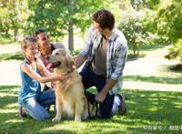 论养宠物的幸福感，养狗的要比养猫的铲屎官高两倍