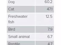 养狗和养猫，哪种让你更快乐？终于有答案了！