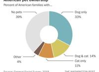 养狗和养猫，哪种让你更快乐？终于有答案了！