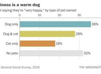 养狗和养猫，哪种让你更快乐？终于有答案了！