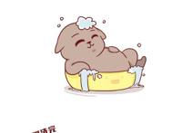 超可爱的漫画：养狗vs养猫，差别太大，已笑喷！