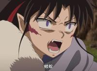 半妖的夜叉姬：杀生丸心疼刹那，紫织登场，弥勒修行原因找到