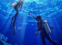 对于《碧蓝之海》的另类解读，除开搞笑元素之外，它还剩下些什么