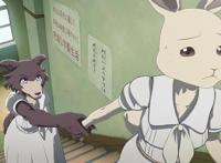 动物狂想曲完结，狼兔CP上演修罗场，狼妹告白却迎来完败