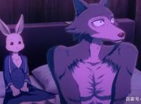 动物狂想曲第12集先行：狼兔刚产生依恋，茱诺乱入开启青春修罗场