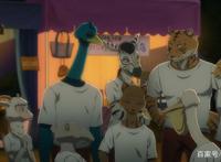 动物狂想曲第12集先行：狼兔刚产生依恋，茱诺乱入开启青春修罗场