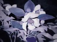 欧美动画宅最喜欢的10月番，刀剑神域被这部动画踩在脚下