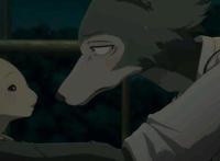 动物狂想曲第二季，继续大灰狼与红鹿的故事