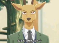 动物狂想曲第二季，继续大灰狼与红鹿的故事