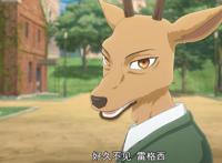 《动物狂想曲》第二季播出！雷格西和小春真的成情侣了么？