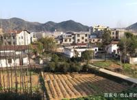 我最害怕的事：临死前，都不知道自己真正喜欢什么？