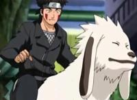 火影忍者背景资料：犬冢牙