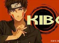 火影忍者背景资料：犬冢牙