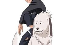 火影忍者背景资料：犬冢牙