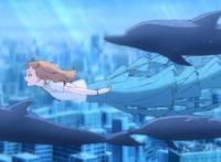 乔西的虎与鱼：这个故事很普通，但那份温暖和触动却仍久久留存