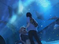 乔西的虎与鱼：剧情略狗血，爱情略强行，画面很精美