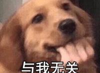 360°无死角的动画公司，却做出整个日本动画史上倒数第一的番！