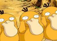 受人追捧的“流量鸭”，不只有可达鸭