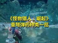 《怪物猎人：崛起》重弩弹药种类一览