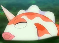 《宝可梦旅途》水君被小豪收复丢研究院，水君：只是心累罢了