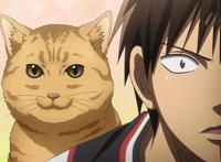 黑子的篮球：盘点动漫中的野性，青峰的帅炸，而他的压迫感太大！