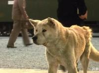 豆瓣评价最高的十部电影，他的电影占了三分之二