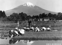 电影看世界系列01：樱花国度——日本