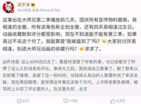 我家大师兄脑子有坑：受乔诗语影响，第二季亏本，第三季难以制作