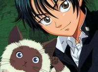 动漫迷最喜爱的打网球角色越前龙马夺冠