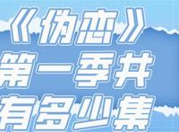 《伪恋》第一季共有多少集？