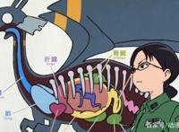 你也许不知道的神作！这些动漫不热门，很可能就是名字惹的祸！