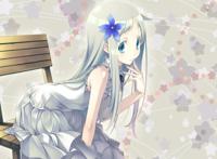 「动漫美图赏Vol.16」未闻花名，但识花香，再见花时，泪也满行