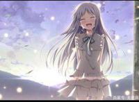 我们仍未知道那天所看见的花的名字