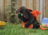 那些中二病女孩子患者，咱们小时候都患过的病