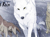 《狼雨》中的角色，你最喜欢谁呢？