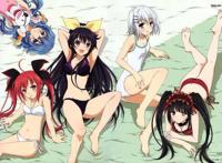 动漫：承包这些后宫番，承包这些后宫妹子！