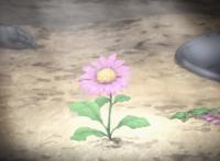 《魔物娘的医生》魔族与人类寻求共生共荣的新世代生活？