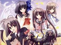 颤抖吧，绅士们！教科书式的后宫番推荐，教你如何成为人生赢家！