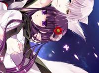 恋爱动漫大合集，你想要的爱情这里都有