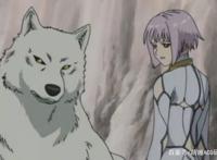 绝望时代的诗与歌——《狼雨》