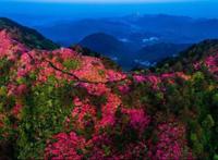 吕永兴：“黄冈学”学科知识体系与黄冈文化谱系问题探究