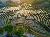 吕永兴：“黄冈学”学科知识体系与黄冈文化谱系问题探究