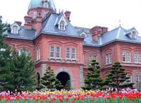 日本人口密度那么大，为何大多数人都可以住独栋别墅？看完明白了