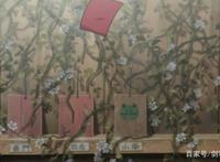 为何火影中人气和实力并存的晓之白虎小南美女，没有被秽土转生？