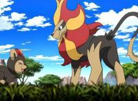 精灵宝可梦：凭一己之力阻止两大mega宝可梦的战斗，它很强大