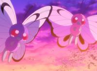 精灵宝可梦：时隔二十年，你还记得小智的宝可梦为何离开他吗？