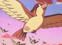 精灵宝可梦：时隔二十年，你还记得小智的宝可梦为何离开他吗？