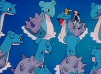 精灵宝可梦：时隔二十年，你还记得小智的宝可梦为何离开他吗？