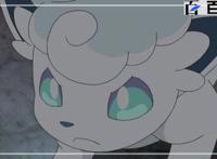 日本动漫精灵宝可梦：依旧受欢迎的动漫图分享